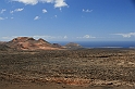 Kanary_2010 165